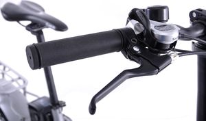 Rower elektryczny Fuzlu Fatbike 20" szary 8