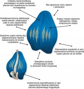 Armedical Poduszka ortopedyczna lędźwiowa Exclusive Support MFP-5344 9