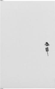 Szafa Lanberg Wisząca 10" 9U (WF10-2309-00S) 6