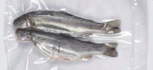 GERTZ FOLIA DO ZGRZEWARKI PRÓŻNIOWEJ MOLETOWANA GERTZ 28 x 600 cm uniw 6