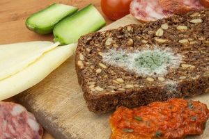 GERTZ FOLIA DO ZGRZEWARKI PRÓŻNIOWEJ MOLETOWANA GERTZ 28 x 600 cm uniw 10