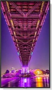 Monitor NEC MultiSync ME551 (60005057) 2