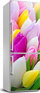 Tulup Naklejka samoprzylepna na lodówkę 60x180 cm Kolorowe tulipany 1