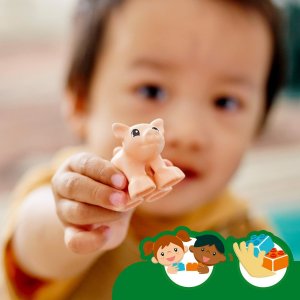 LEGO Duplo Zwierzęta gospodarskie (10949) 5