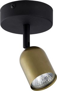 Lampa sufitowa TK Lighting Spot natynkowy metalowy TK Lighting TOP 3301 1