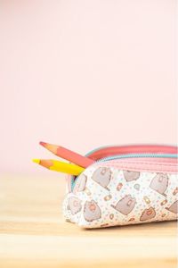 Piórnik Pusheen Pusheen - Piórnik w kształcie tuby z zawieszką (20 x 6 x 6.5 cm) 5