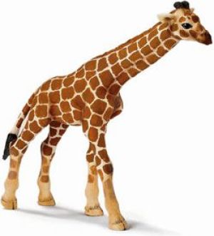 Figurka Schleich MŁODA ŻYRAFA 14321 1