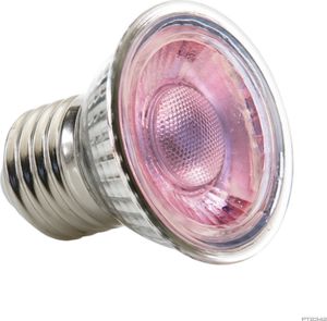 Exo Terra Żarówka Exo Terra NANO Daylight LED Spot, 5W 3