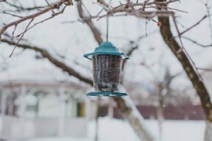 Garden&Fun Karmnik dla ptaków, plastikowy, 14,8x13x17cm 3