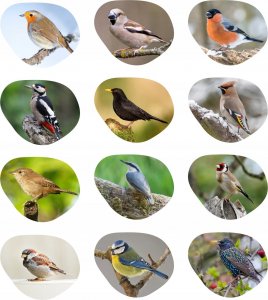 Garden&Fun Karmnik dla ptaków, z siatki, wiszący, 10x10x22,5 5