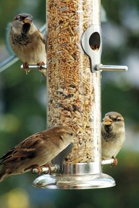 Garden&Fun Karmnik dla ptaków, plastikowy, wiszący,13x13x40cm 3