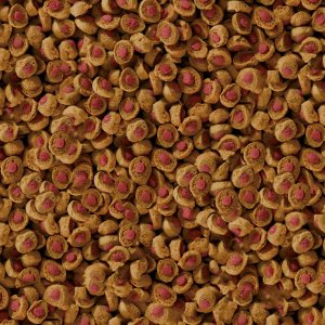 Sera Koi Professional Summer Food 1.000 g - pokarm specjalny 2