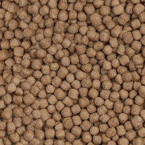 Sera Koi Royal Large 10 l, granulat - pokarm postawowy dla Koi 2