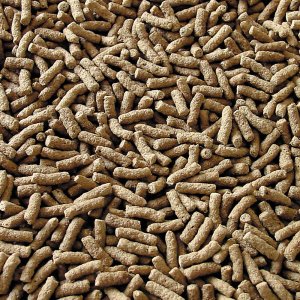 Sera Pond Granulat 3.800 ml - pokarm dla ryb stawowych 2