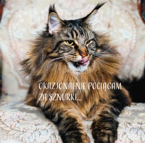 Josera Senior 400g 4