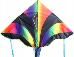 Adar Latawiec 535527 3