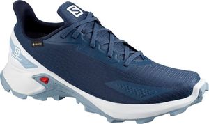 Salomon Buty męskie SALOMON ALPHACROSS BLAST GTX Gore-TEX (411060) 49 1/3 3
