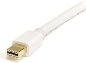 Kabel StarTech DisplayPort Mini - DisplayPort 1m biały (MDP2DPMM1MW) 2