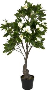 Witek Home Roślina doniczkowa Magnolia 170cm PROMO 1