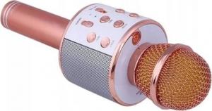 Mikrofon Frahs F1 LED 2