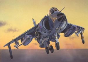 Italeri FRS.1 Sea Harrier - 1236 1