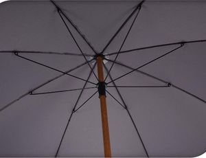 Ambiance Parasol ogrodowy regulowany Szary 200 cm 3