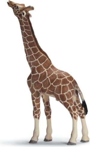Figurka Schleich SCHLEICH SAMIEC ŻYRAFY, JEDZĄCY 2009 - 14389 1