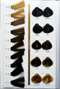 BE CHARME BE CHARME farba do włosów 7.01 100ml 2