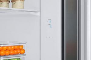 Lodówka Samsung RS66A8100S9 9