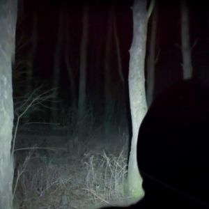 Latarka Armytek Wizard WR Magnet White 15