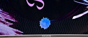 RAVEN Deska Raven Mia Black 2020 5