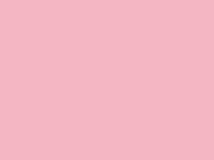 Kreska Brystol różowy A3 170g 20 arkuszy (00025KRS) 1