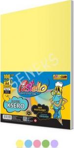 Pastello Papier ksero A4 80g mix kolorów 100 arkuszy 1