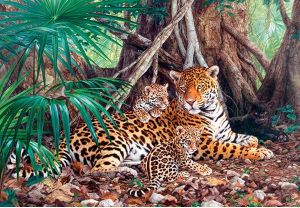 Castorland 3000 EL. Jaguary w dżungli (300280) 1