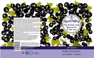 BluxCosmetics Mydło pod prysznic porzeczkowe z aloesem 1L 2