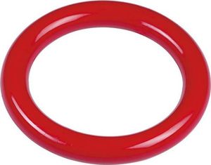 Fashy Fashy pierścień do nurkowania 4204 40 czerwony 14cm Uniwersalny 1