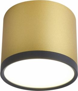 Lampa sufitowa Candellux TUBA LAMPA SUFITOWA 9W LED 8,8/7,5 CZARNY+ZŁOTY MAT 4000K (2275956) Candellux 1