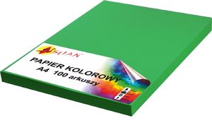Shan Papier ksero A4 120g zielony 100 arkuszy 1