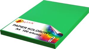 Shan Papier ksero A4 120g groszkowy 100 arkuszy 1