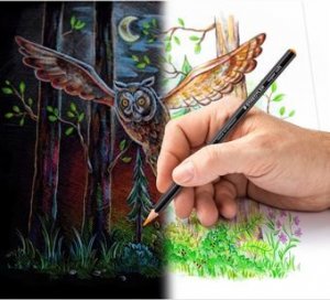 Staedtler Farbstift soft 24ST 4