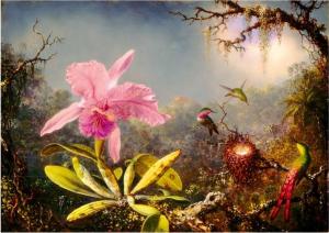 Bluebird Puzzle Puzzle 1000 Orchidea Cattleya i trzy kolibry 2