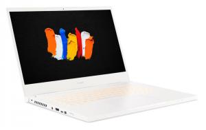 Laptop Acer ConceptD 3 Pro CN315-72P (NX.C5ZEG.004) 2