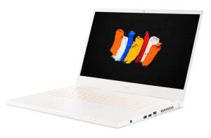 Laptop Acer ConceptD 3 Pro CN315-72P (NX.C5ZEG.004) 3