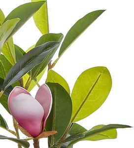 Beliani Sztuczna roślina doniczkowa 70 cm MAGNOLIA 2