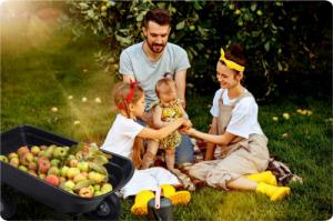 Humberg Wózek ogrodowy wywrotka 75 L 16