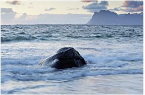 Filtr B&W International XS-Pro Digital ND Vario, MRC nano, 77mm (1072522) 3