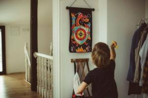 Janod Magnetyczna gra w rzutki Smoki, Janod 13