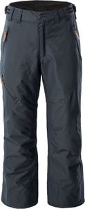 Icepeak Spodnie narciarskie męskie Colman, czarne, rozmiar 50 1