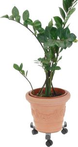 ProGarden Podstawka podstawa REGULOWANA pod donicę doniczkę na kółkach metalowa do przesuwania 2