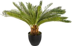 Atmosphera Drzewko palmowe w doniczce 68 cm 1